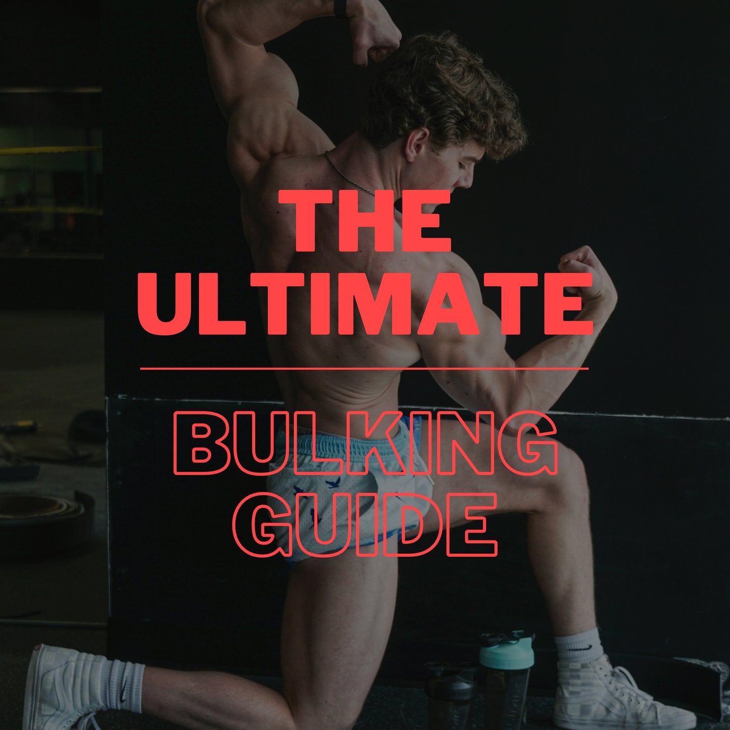Ultimate Bulking Guide